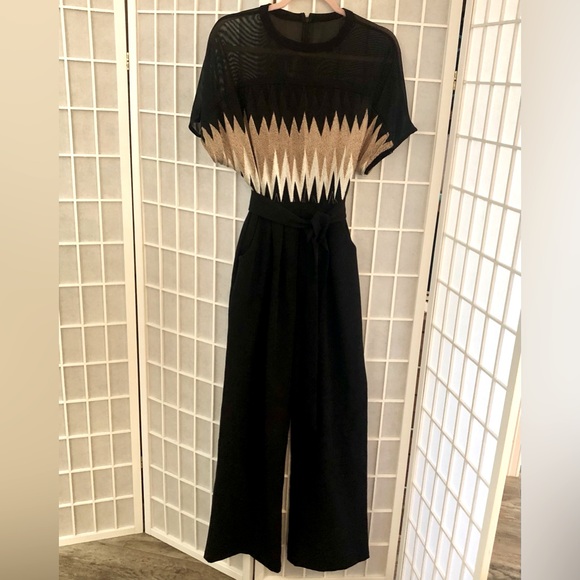 Eva Franco Pants - EVA FRANCO gorgeous vintage jumpsuit. Sheer sleeves and neckline. EUC sz 2